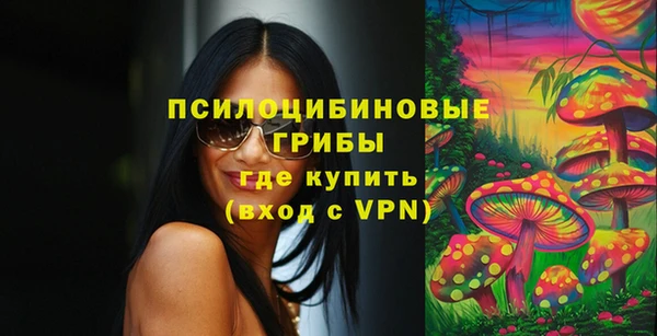 амфетамин Богородицк