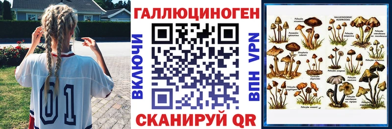 Псилоцибиновые грибы Cubensis  Купить  Гурьевск 